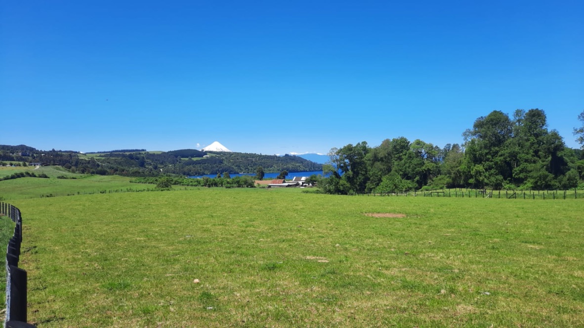 Hacienda del Lago P39